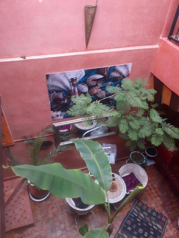 Riad Hanafi Marrakesch Exterior foto